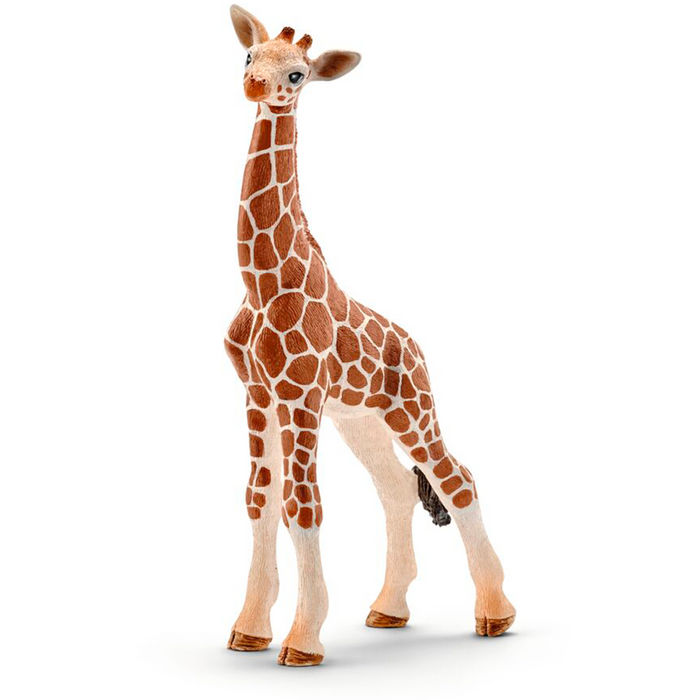 Girafkalf