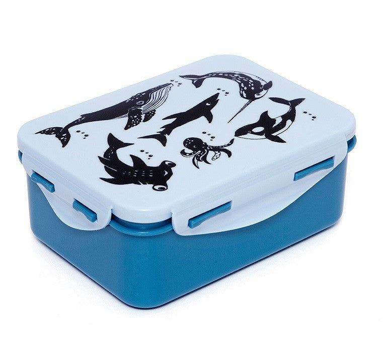 Lunchbox, zeedieren