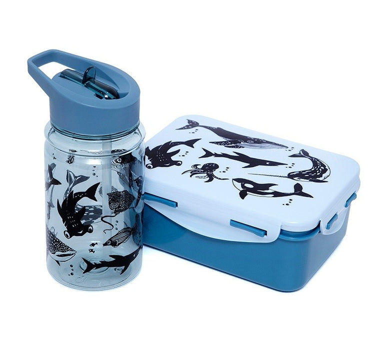 Lunchbox, zeedieren