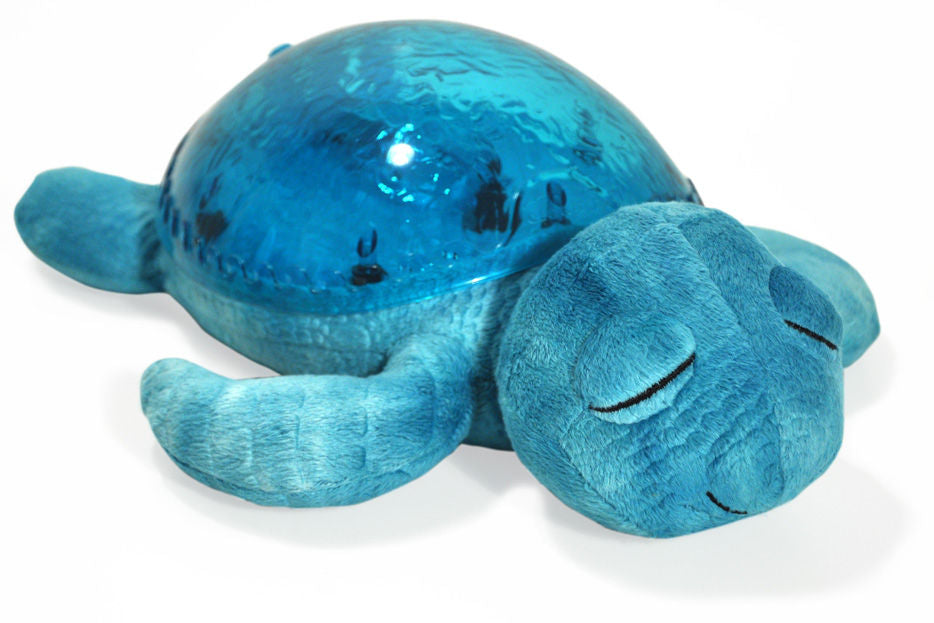 Tranquil Turtle, Aqua