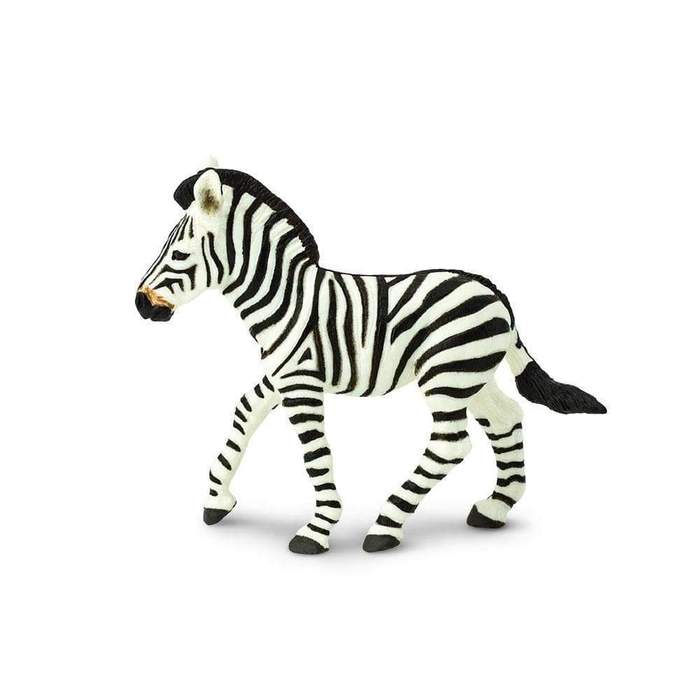 Zebra veulen